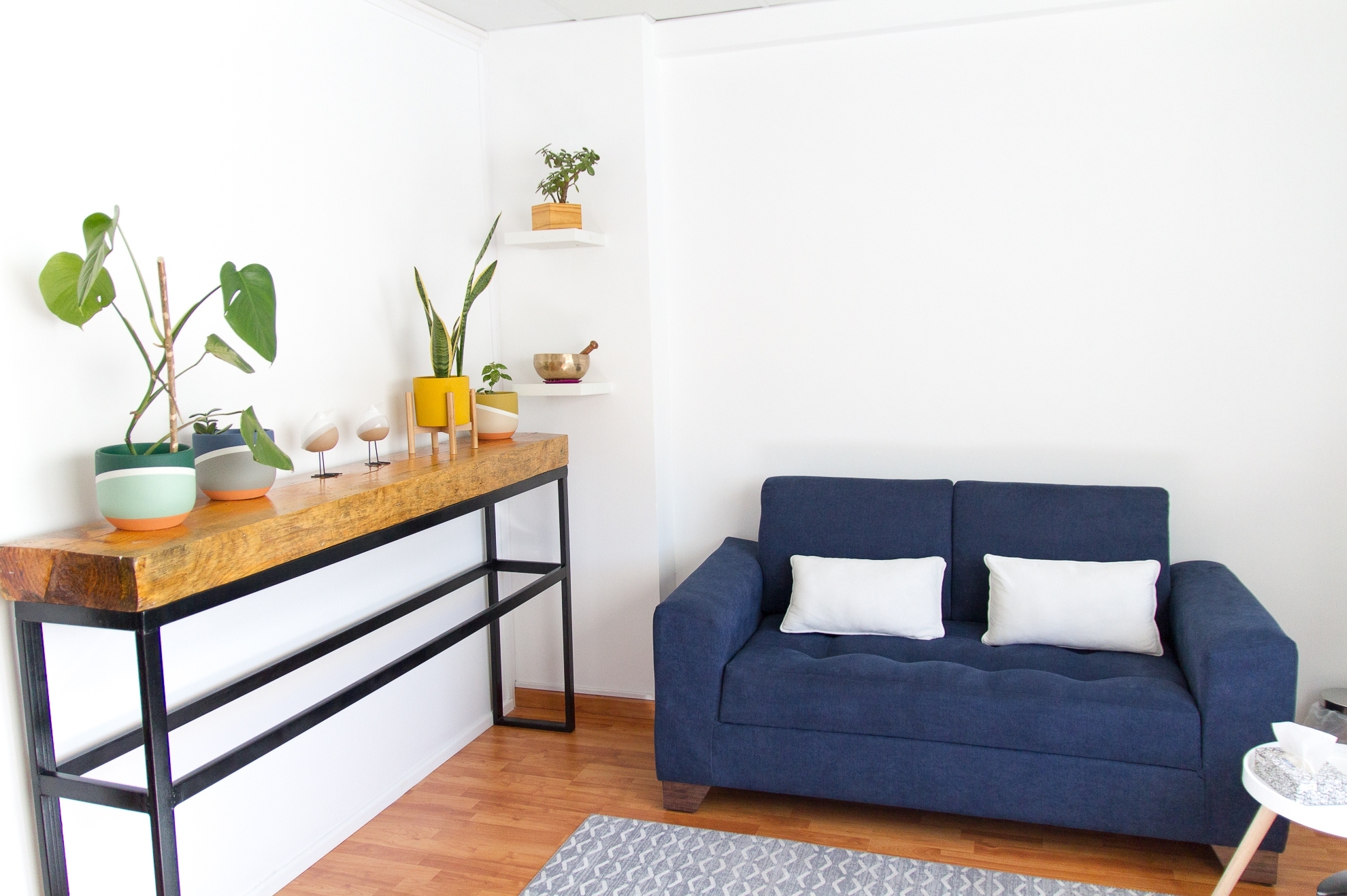 Espacio Mentalis Concepción